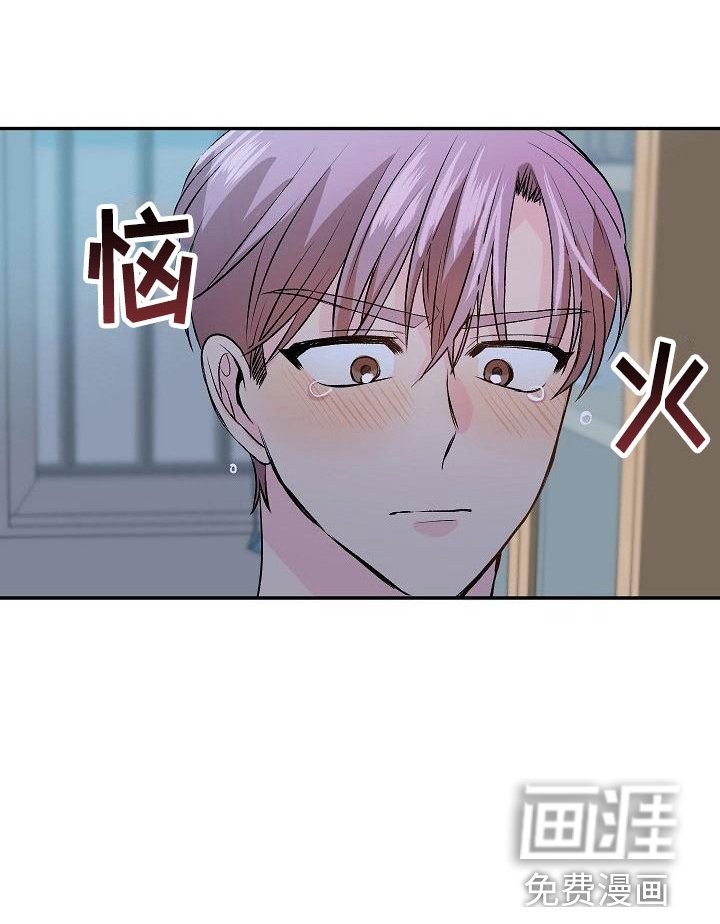 第22章：我的狗男孩：使用说明