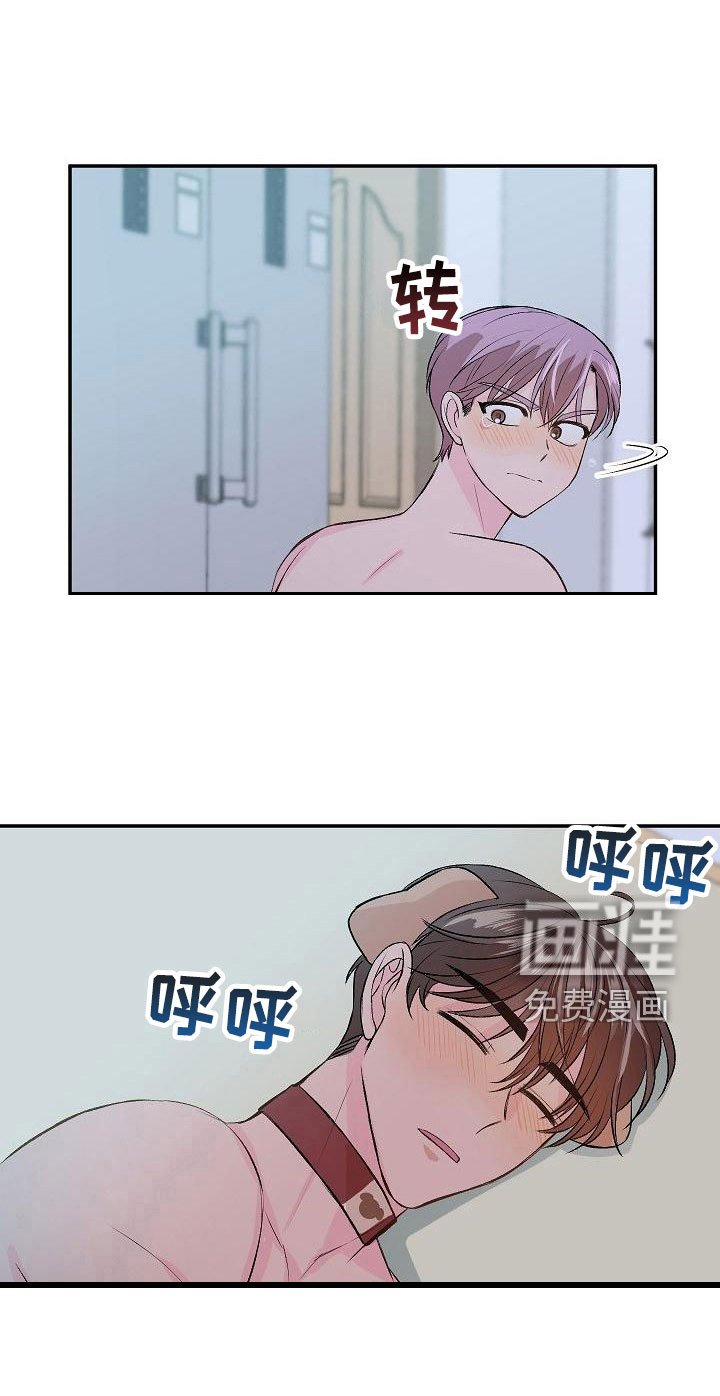 第22章：我的狗男孩：使用说明