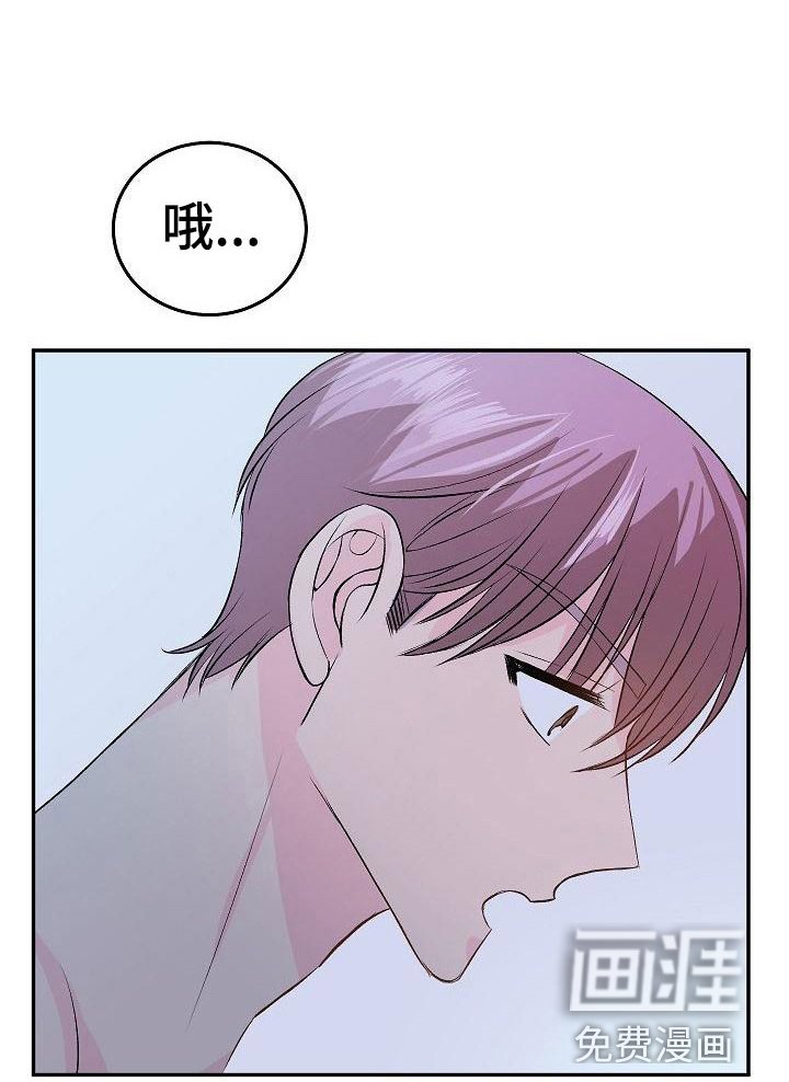 第22章：我的狗男孩：使用说明