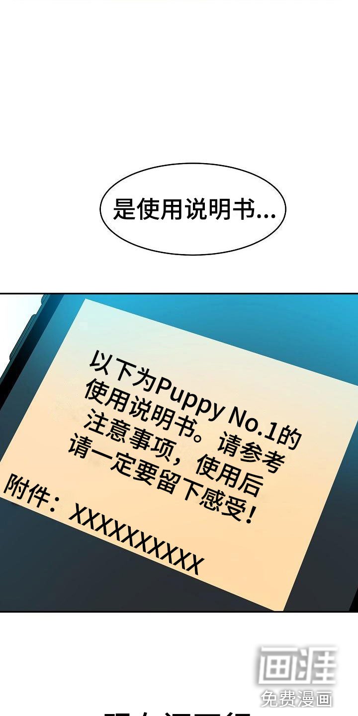 第22章：我的狗男孩：使用说明