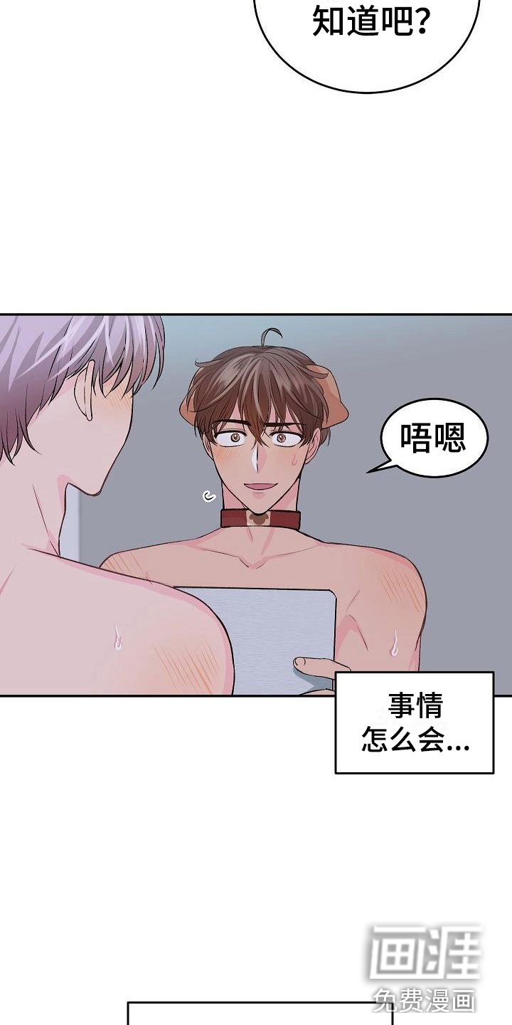 第22章：我的狗男孩：使用说明