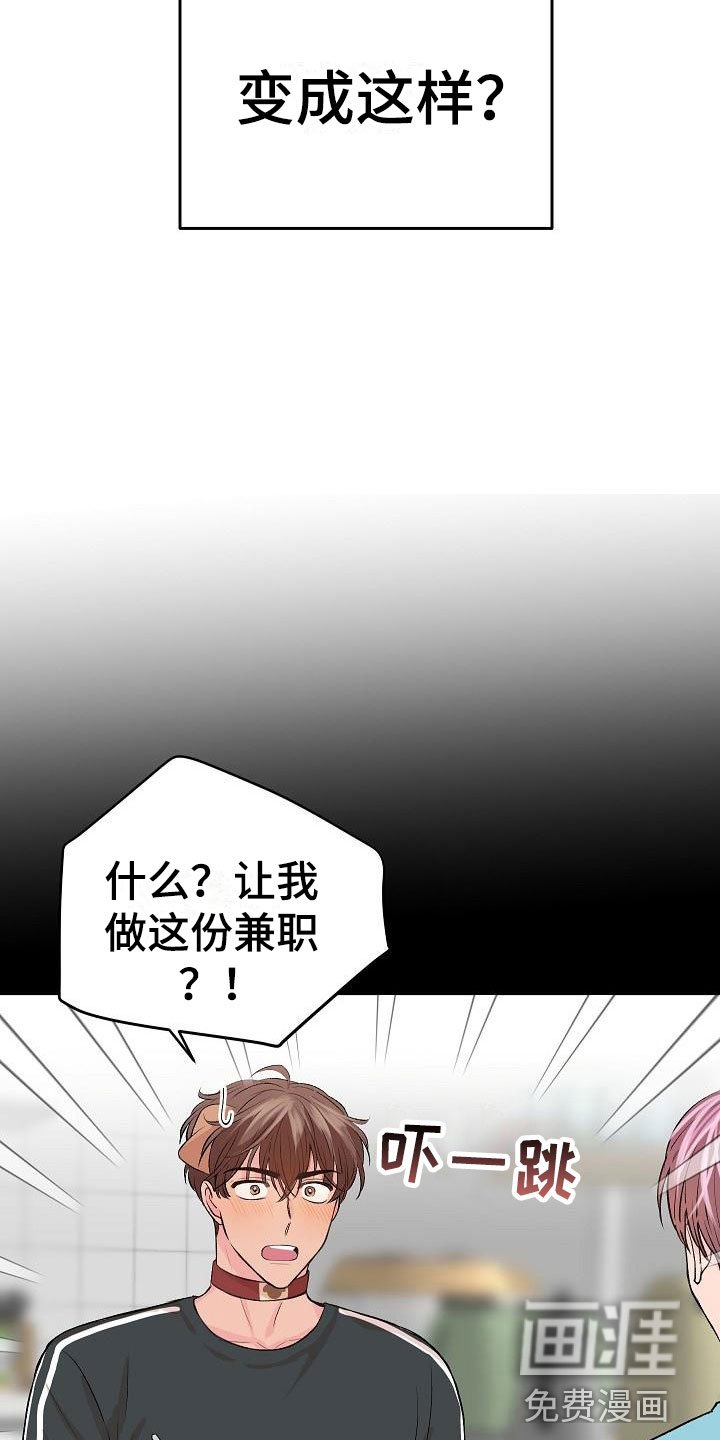 第22章：我的狗男孩：使用说明