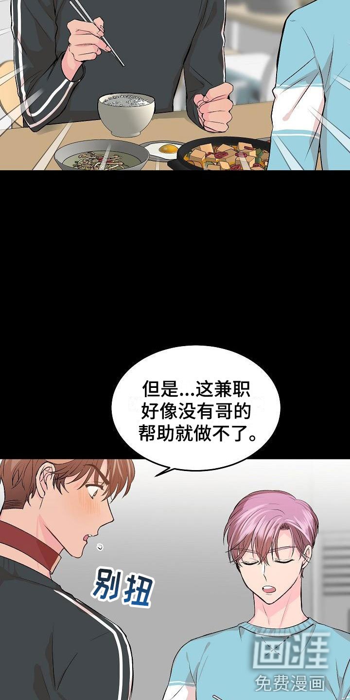 第22章：我的狗男孩：使用说明