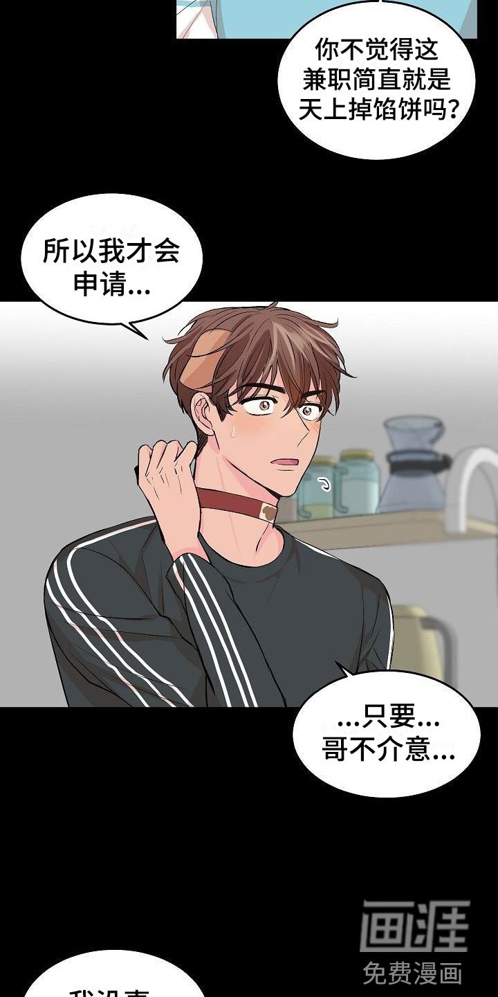 第22章：我的狗男孩：使用说明