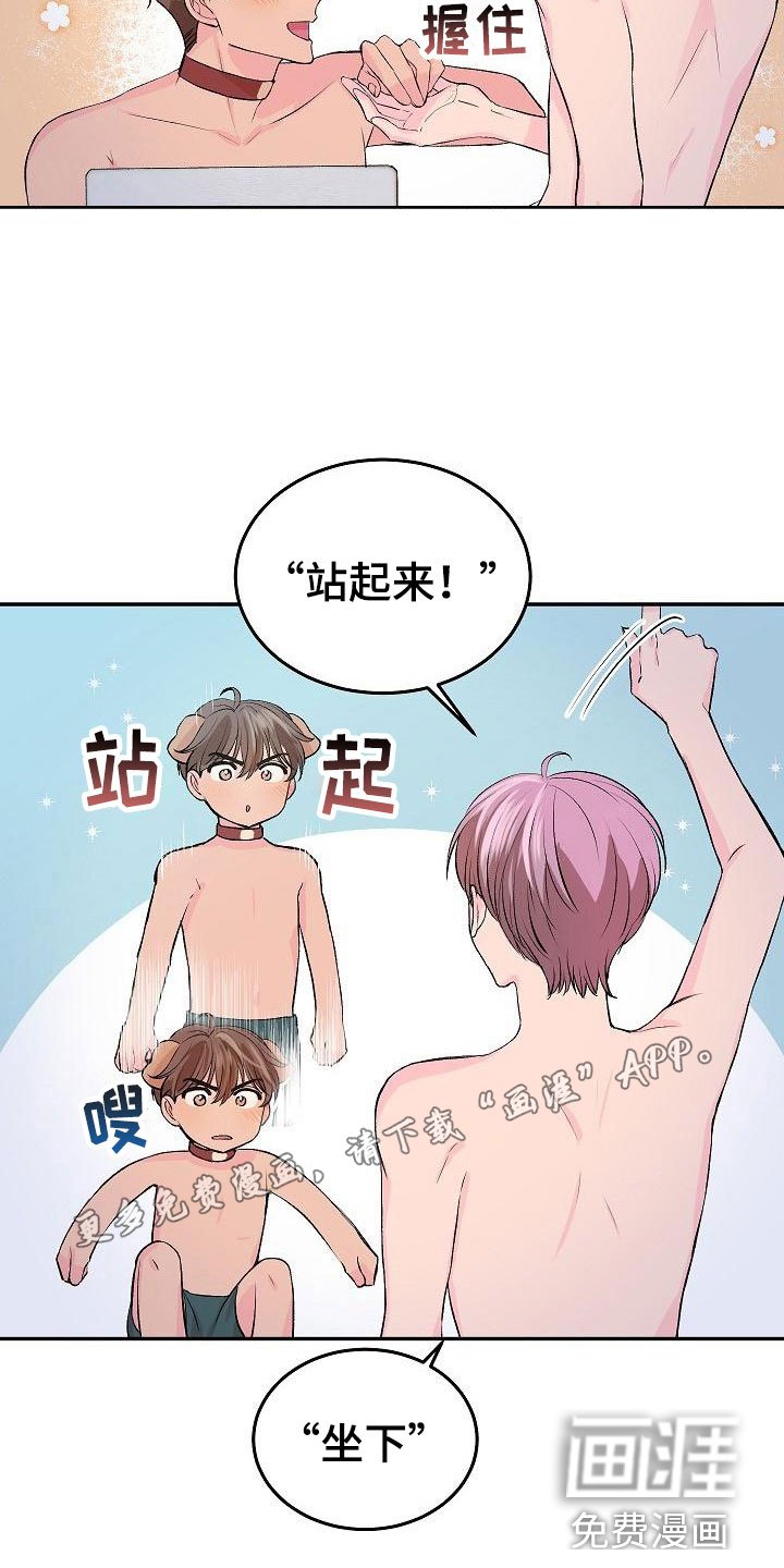 第23章：我的狗男孩：冷漠