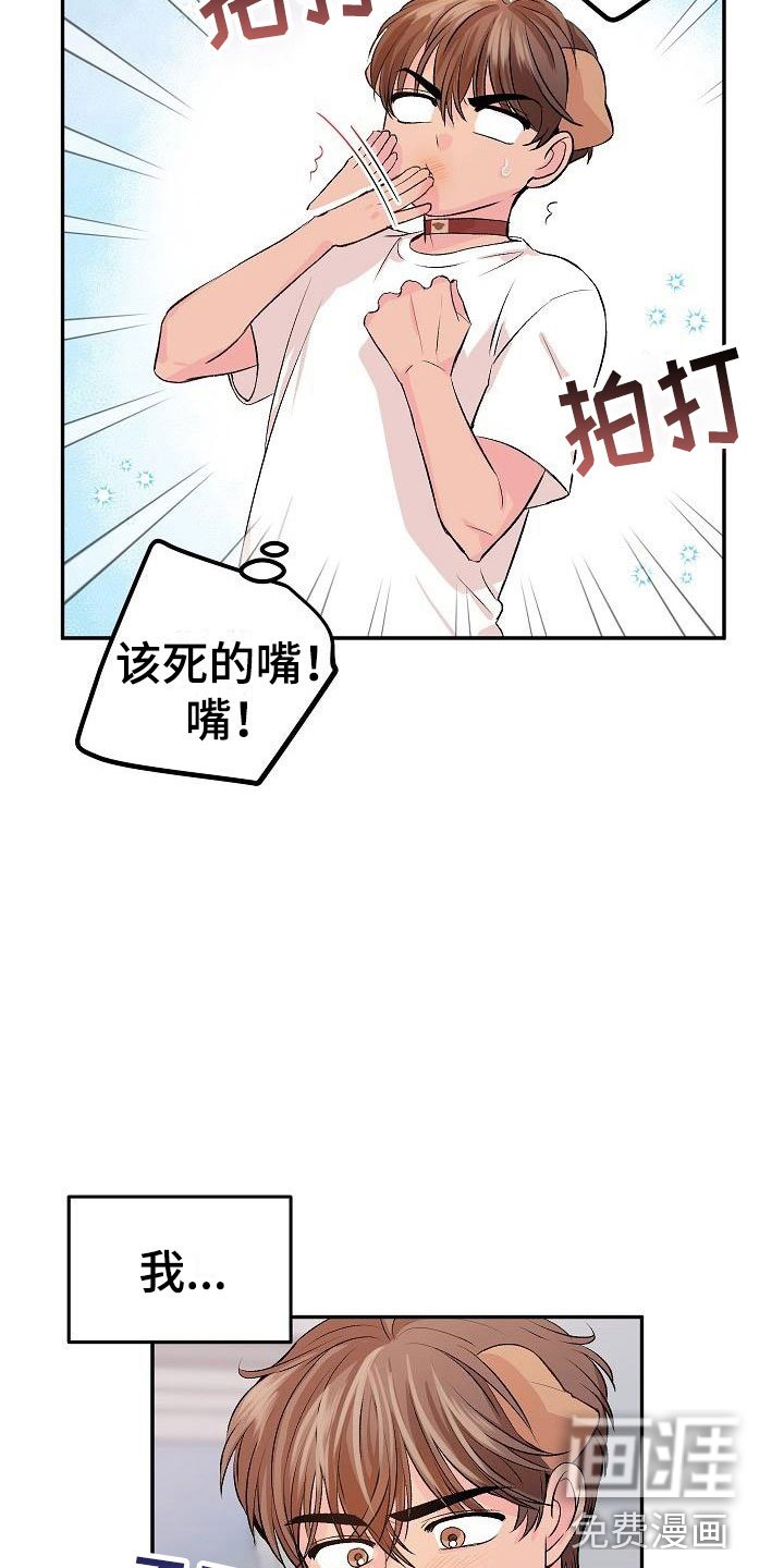第24章： 我的狗男孩：男朋友