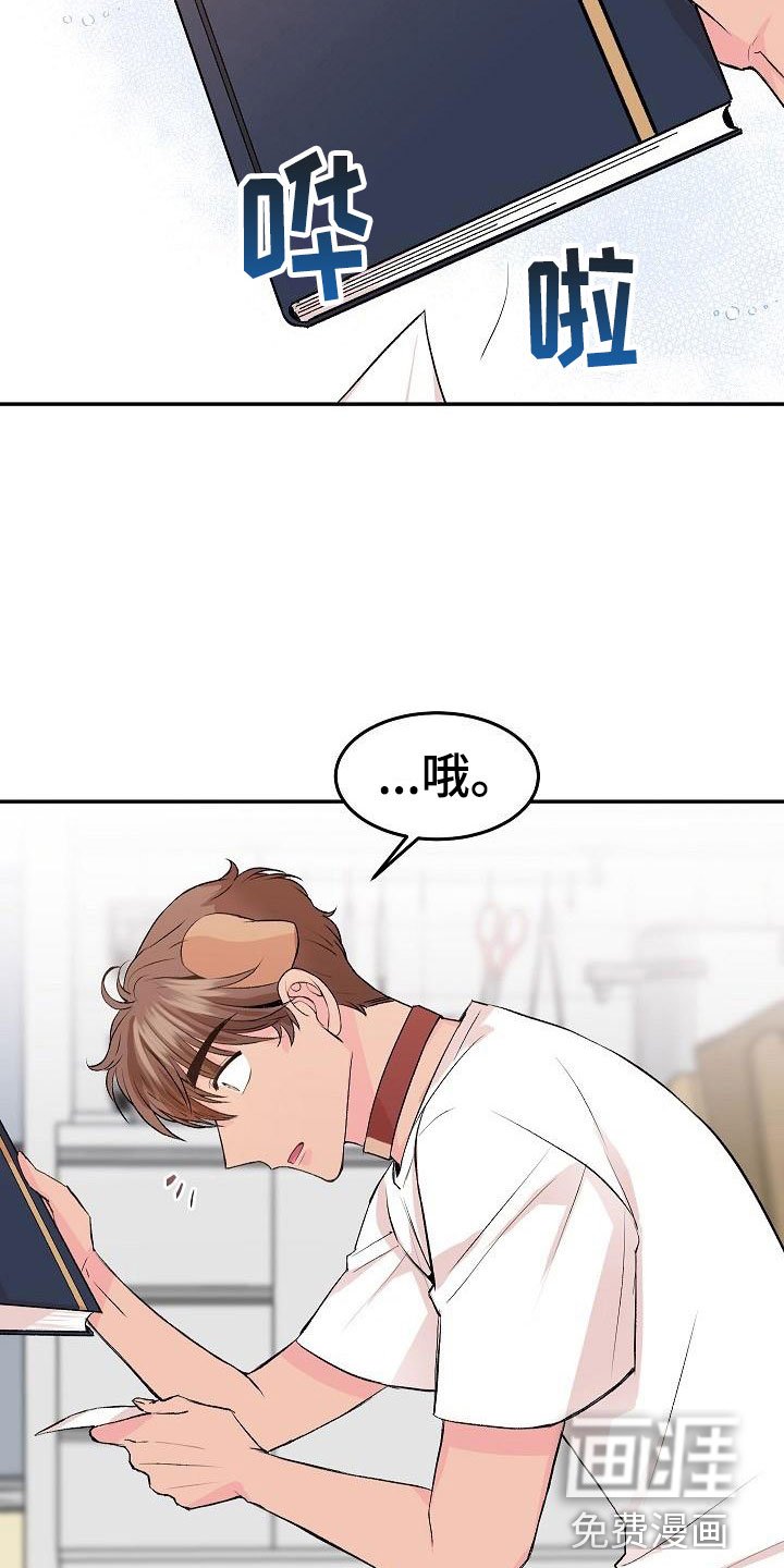第25章：我的狗男孩：照片