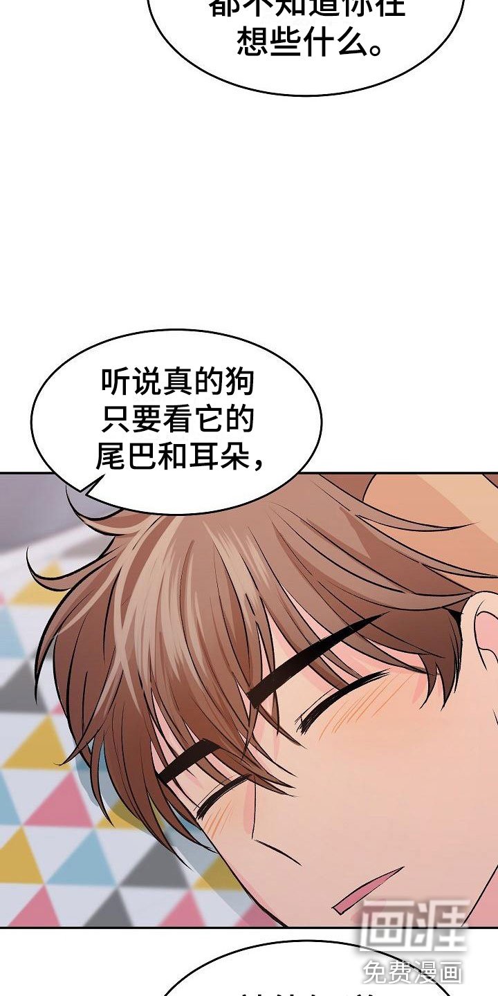 第26章：我的狗男孩：逃跑