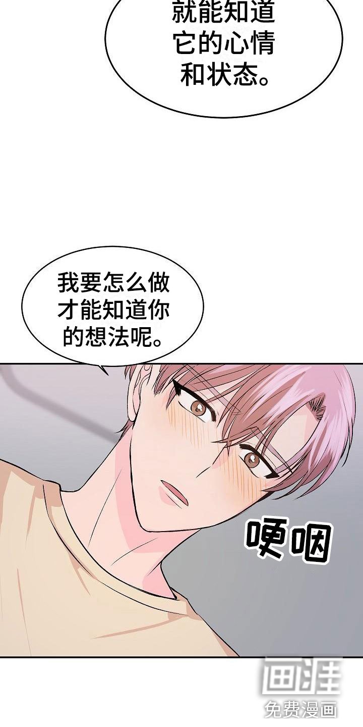 第26章：我的狗男孩：逃跑