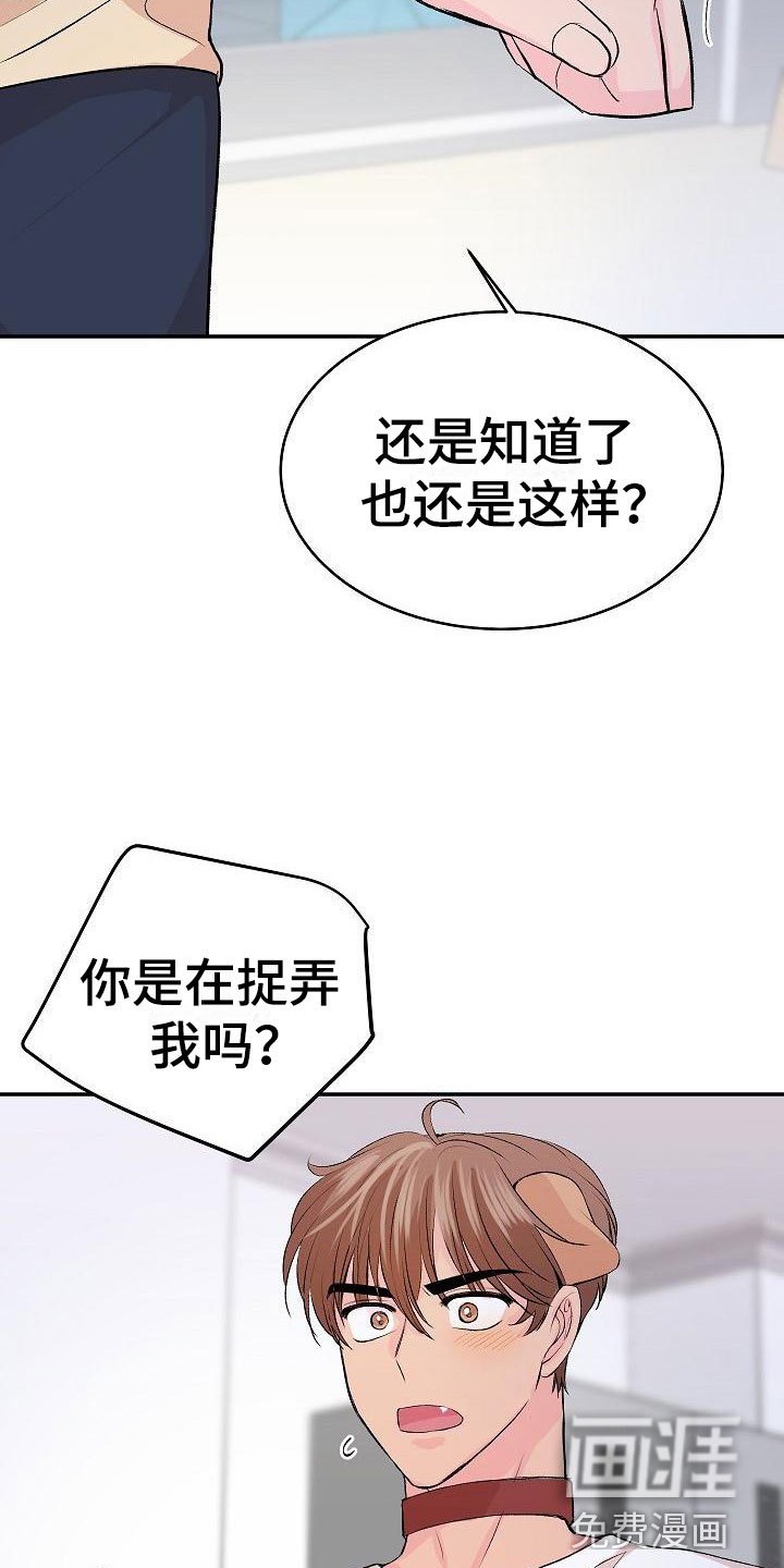 第26章：我的狗男孩：逃跑