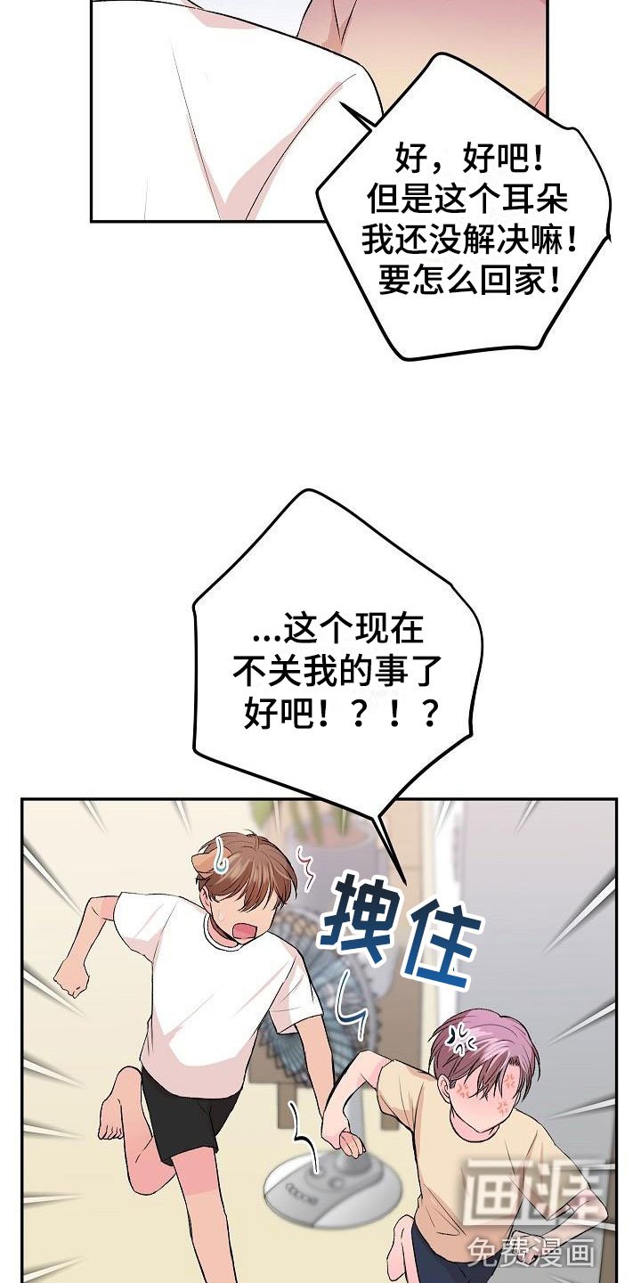 第27章：我的狗男孩：扫地出门