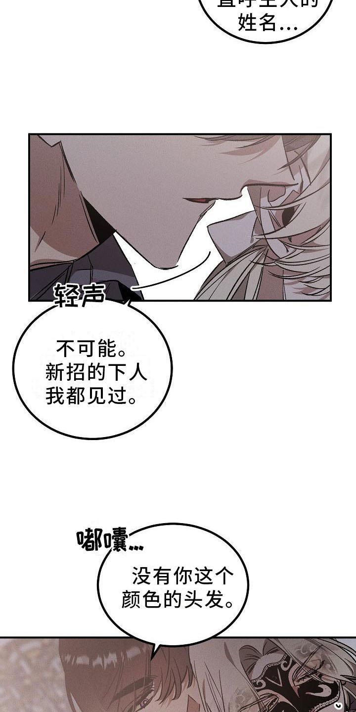 第3章：薰衣草花园：掉落的面具