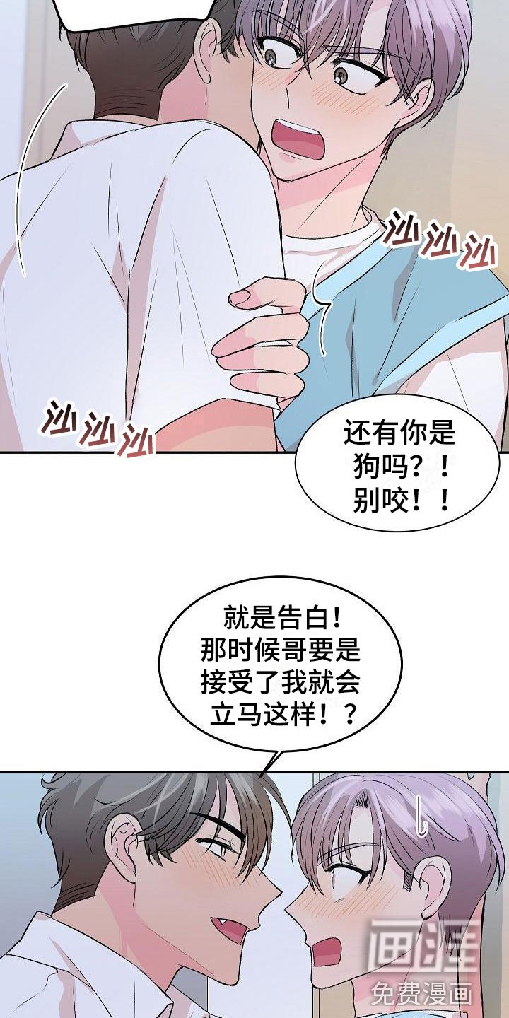 第31章： 我的狗男孩：喜欢你（完）