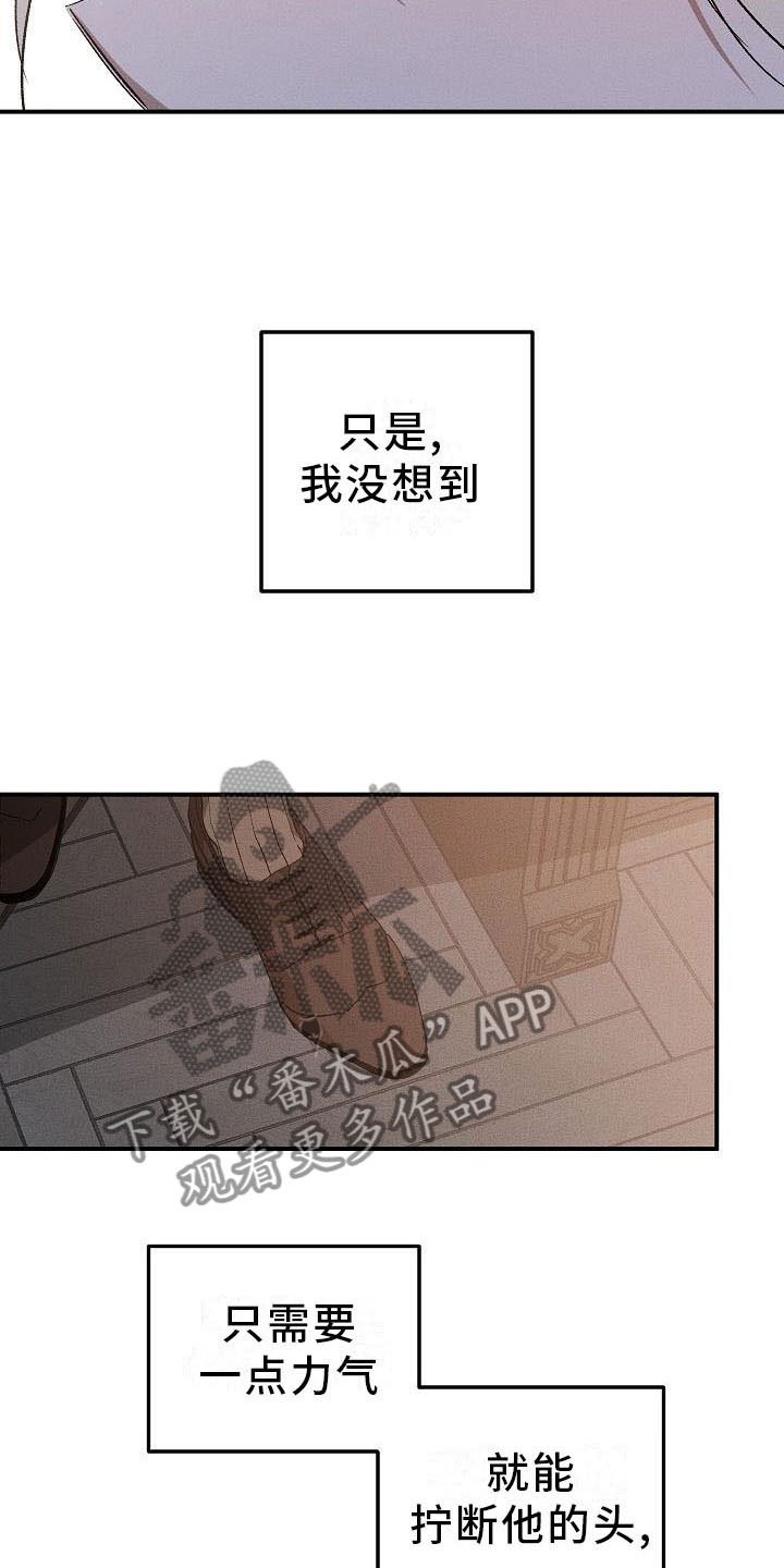 第4章：薰衣草花园：盗窃
