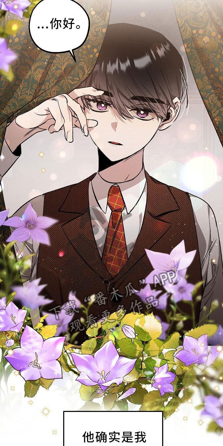 第4章：薰衣草花园：盗窃