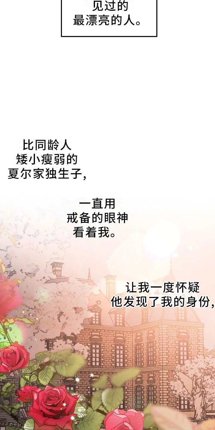 第4章：薰衣草花园：盗窃