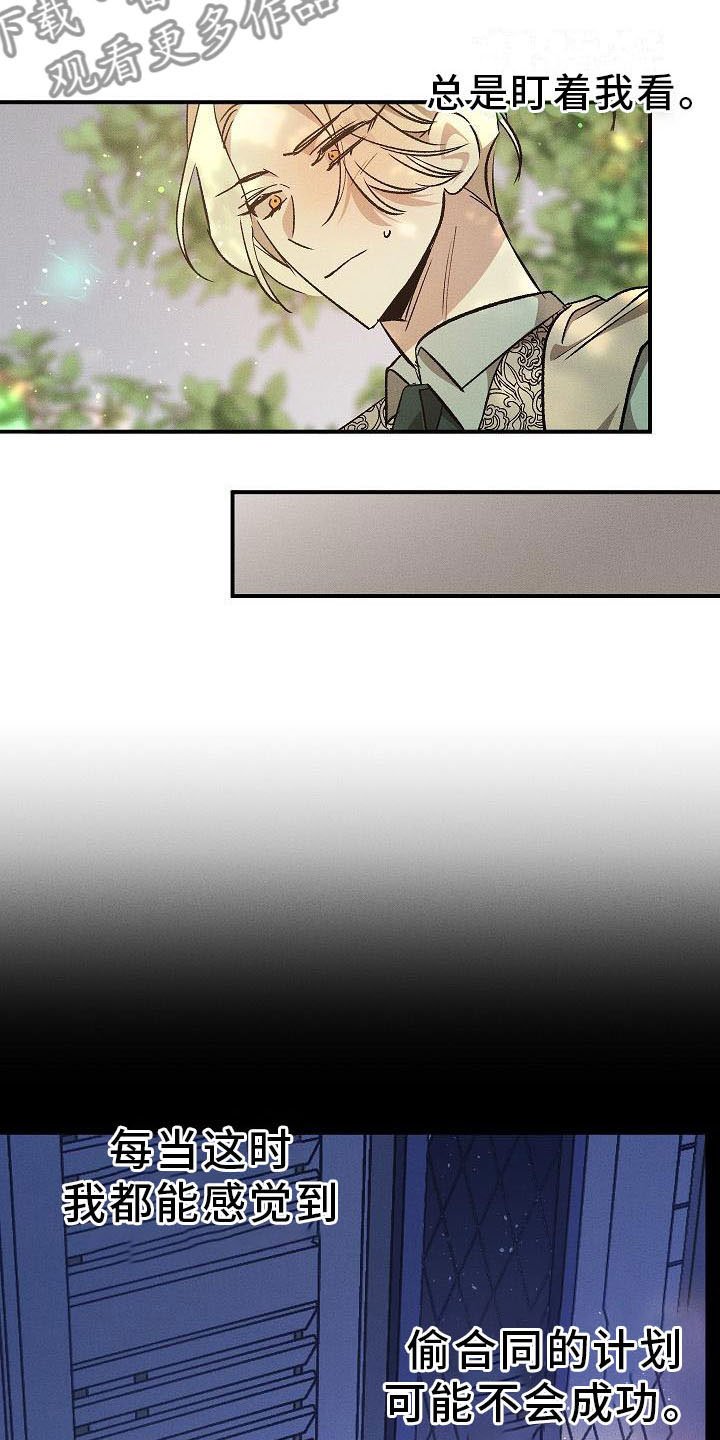 第4章：薰衣草花园：盗窃