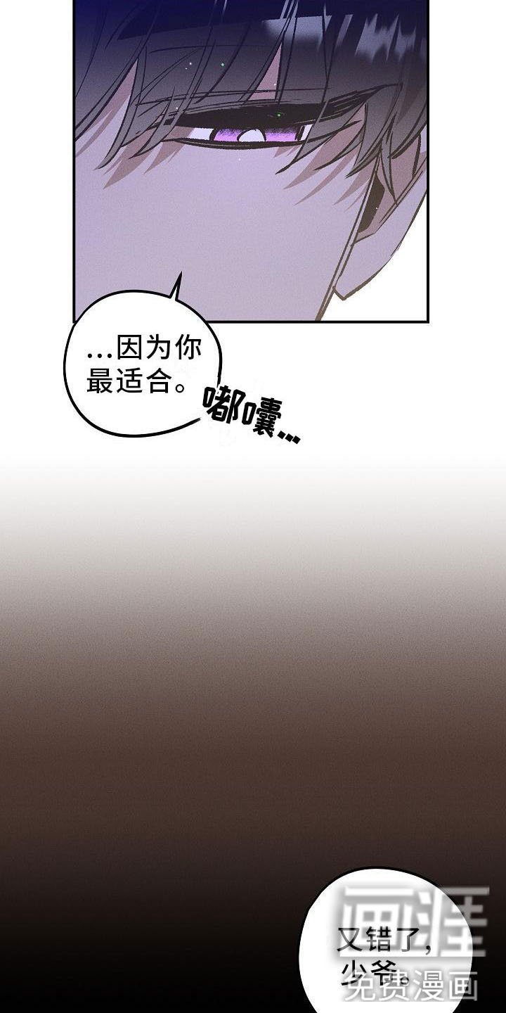 第5章：薰衣草花园：鞭打