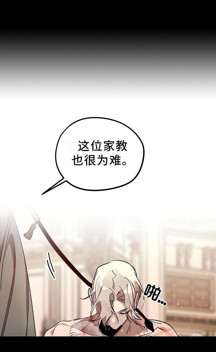第5章：薰衣草花园：鞭打