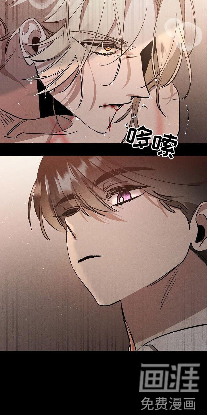 第6章：薰衣草花园：别走