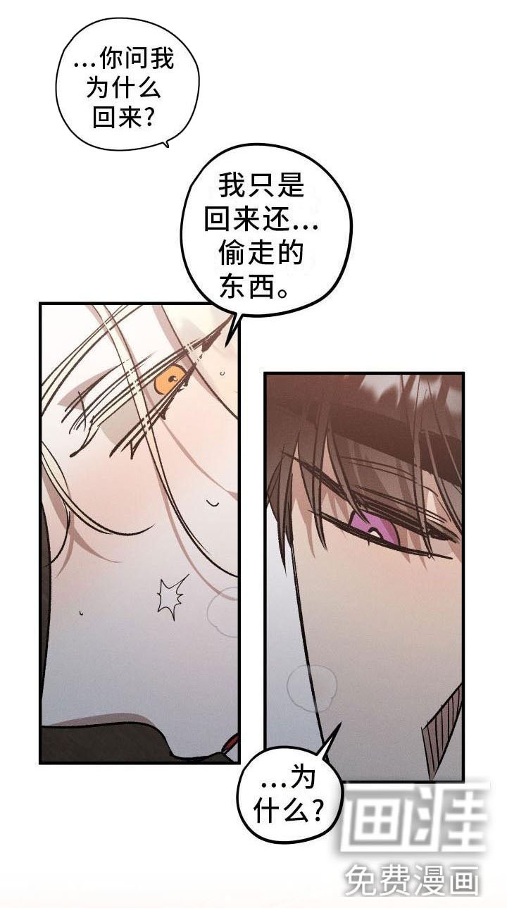 第9章：薰衣草花园：主人