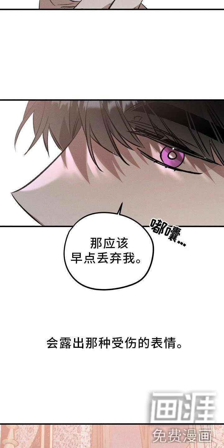 第9章：薰衣草花园：主人