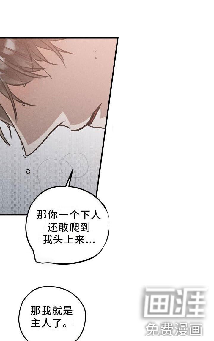 第9章：薰衣草花园：主人