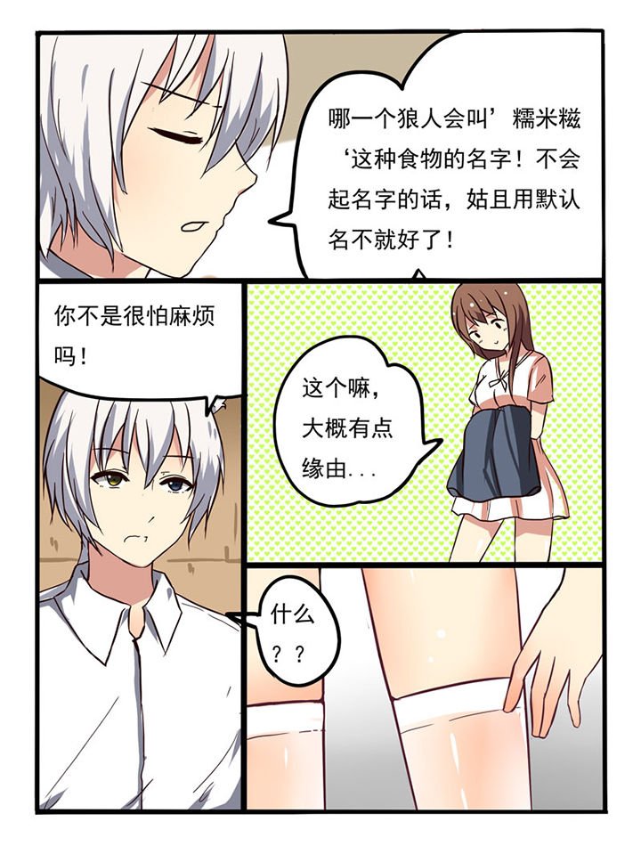 第3章：