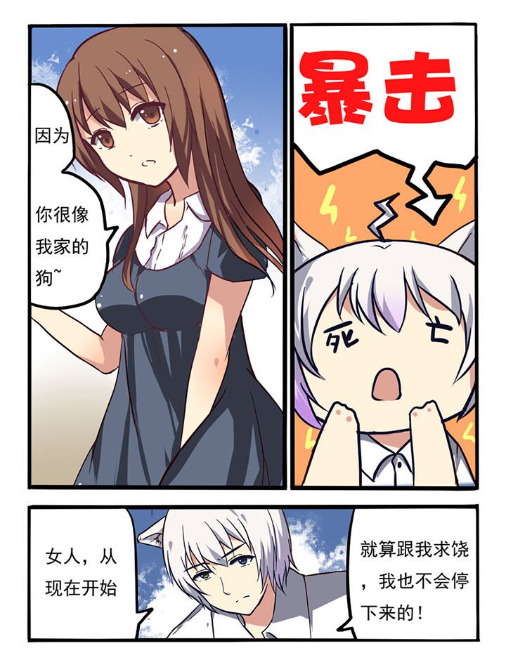 第3章：