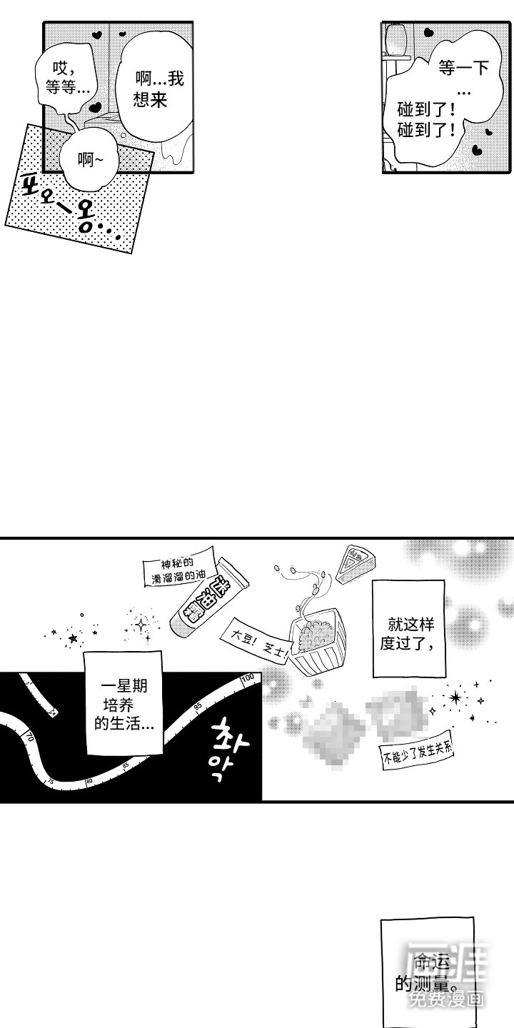 第19章：不敢相信（完结）