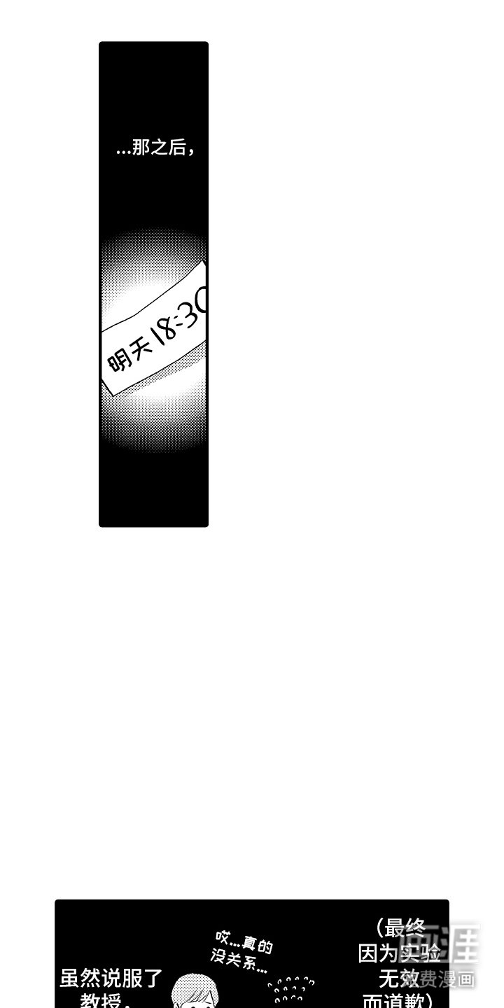 第4章：阶段