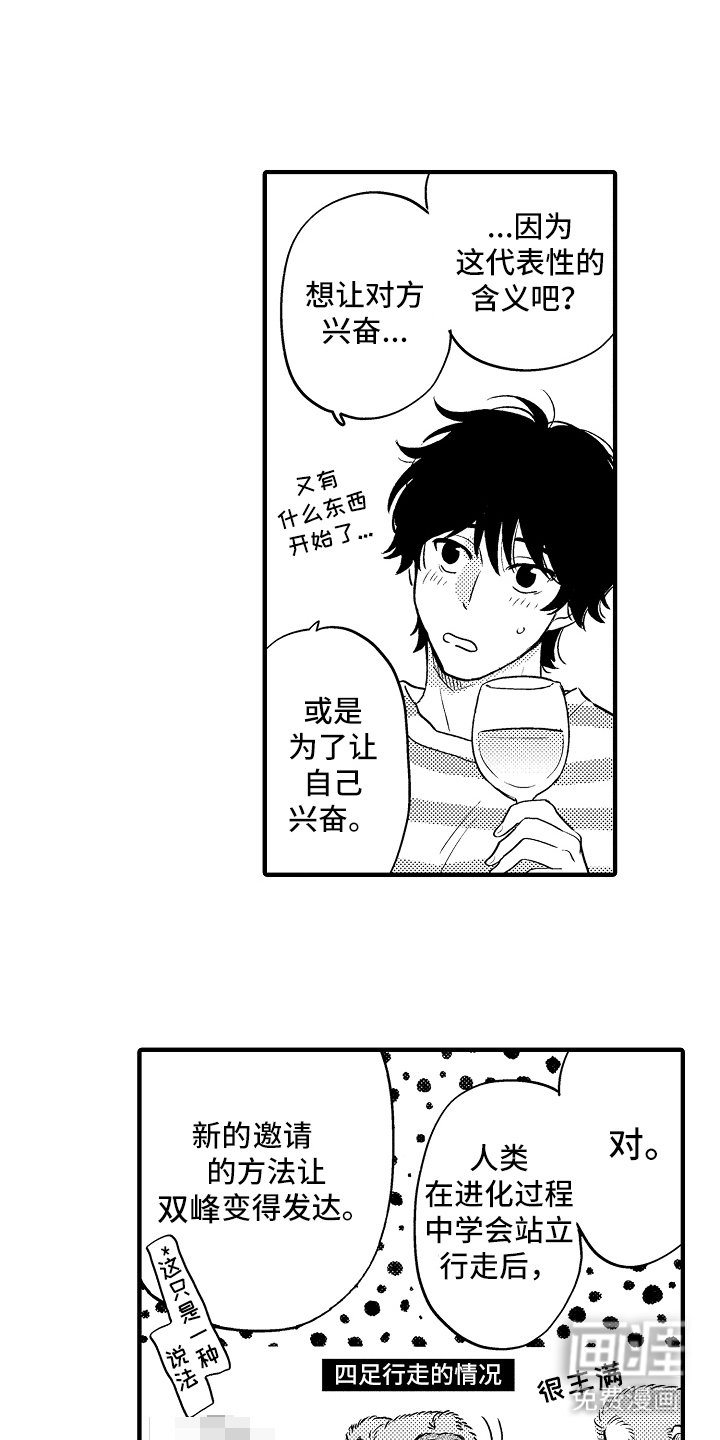 第4章：阶段