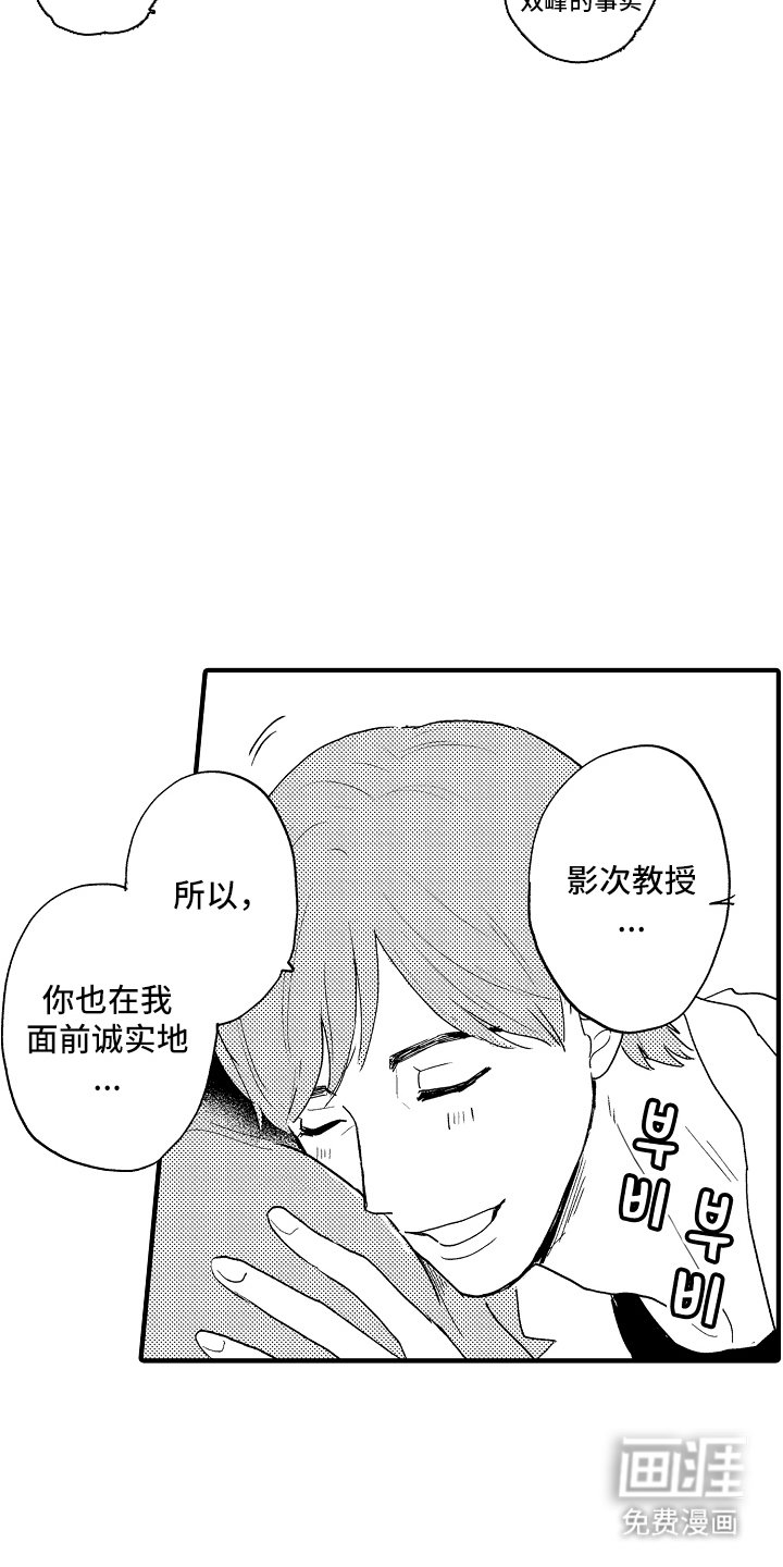 第8章：职业比赛