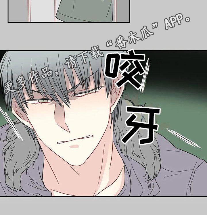 第24章：决定