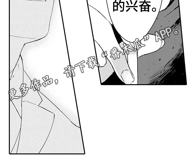 第24章：特点