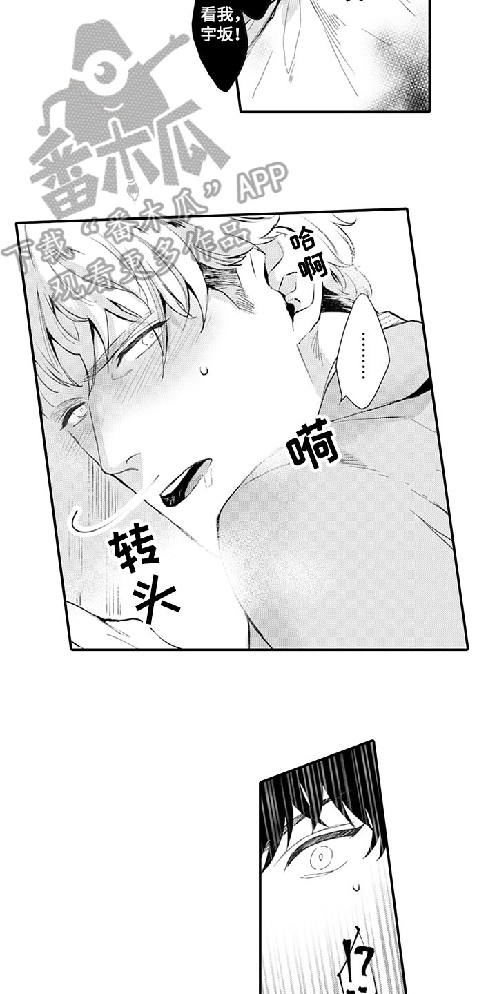 第4章：嫉妒