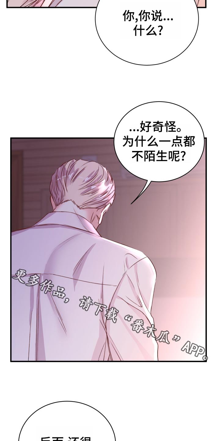 第21章：偷吻的惩罚