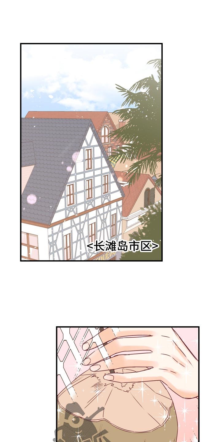 第22章：假货