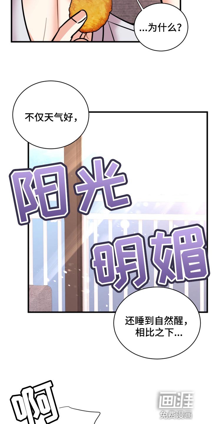 第41章：实话