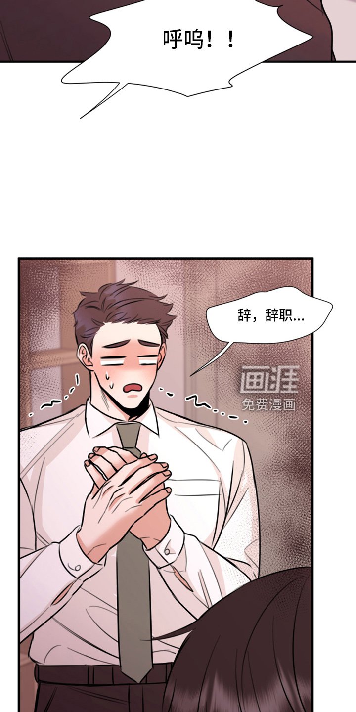 第46章：来报仇