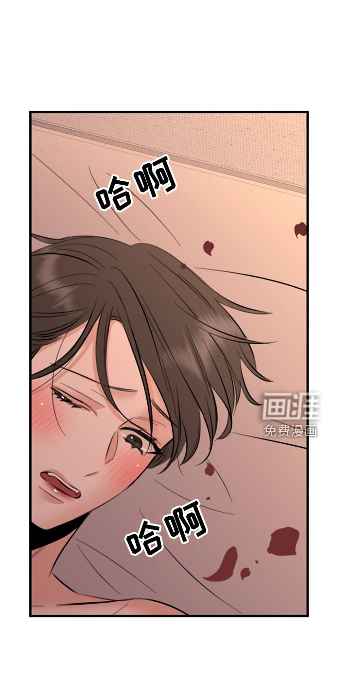 第54章：五年后