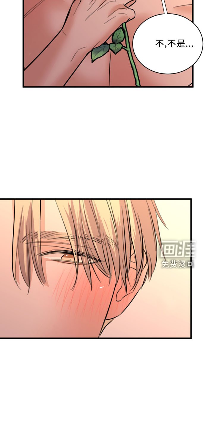 第54章：五年后