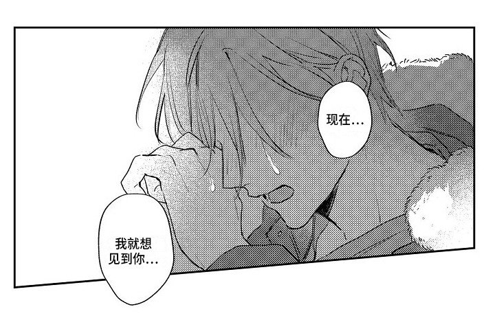 第18章：摊牌