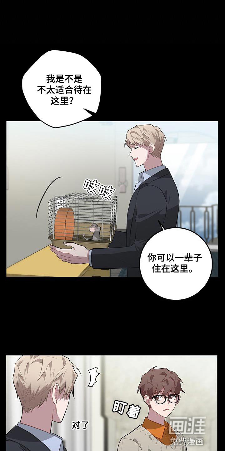 第100章：好奇什么感觉