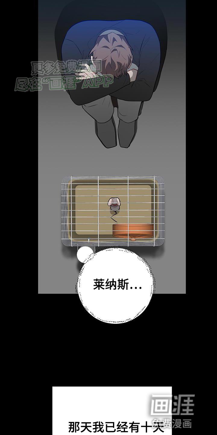 第111章：巨大的缝隙