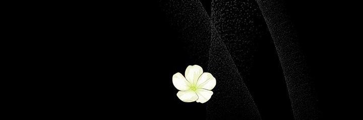 第14章：态度不同