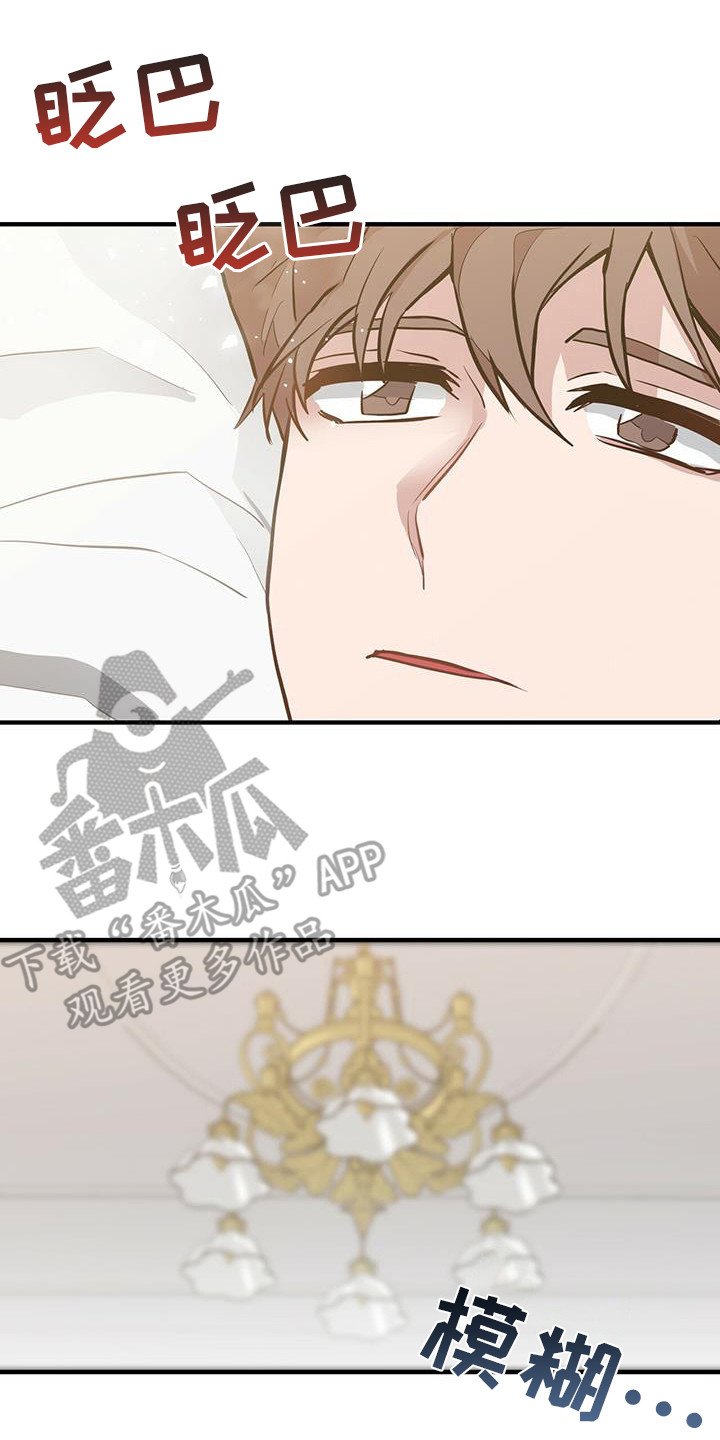 第15章：干部