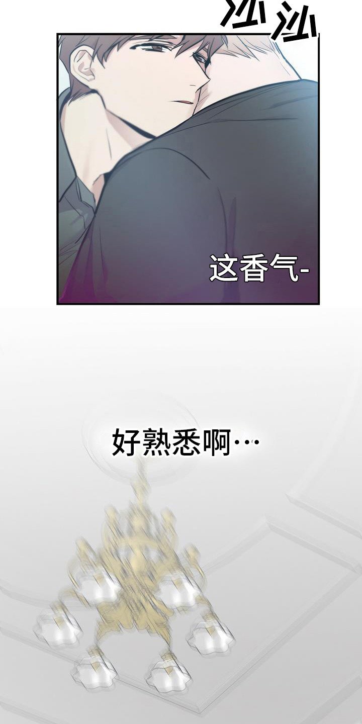 第17章：出事了