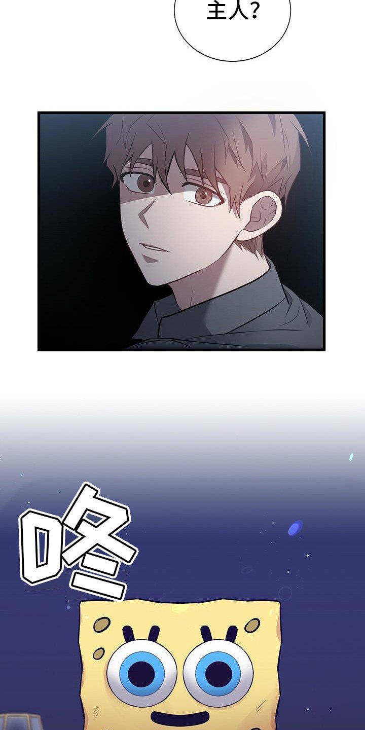 第20章：主人