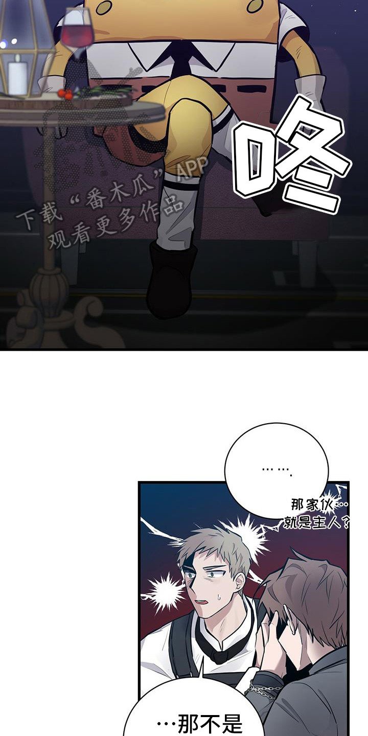 第20章：主人